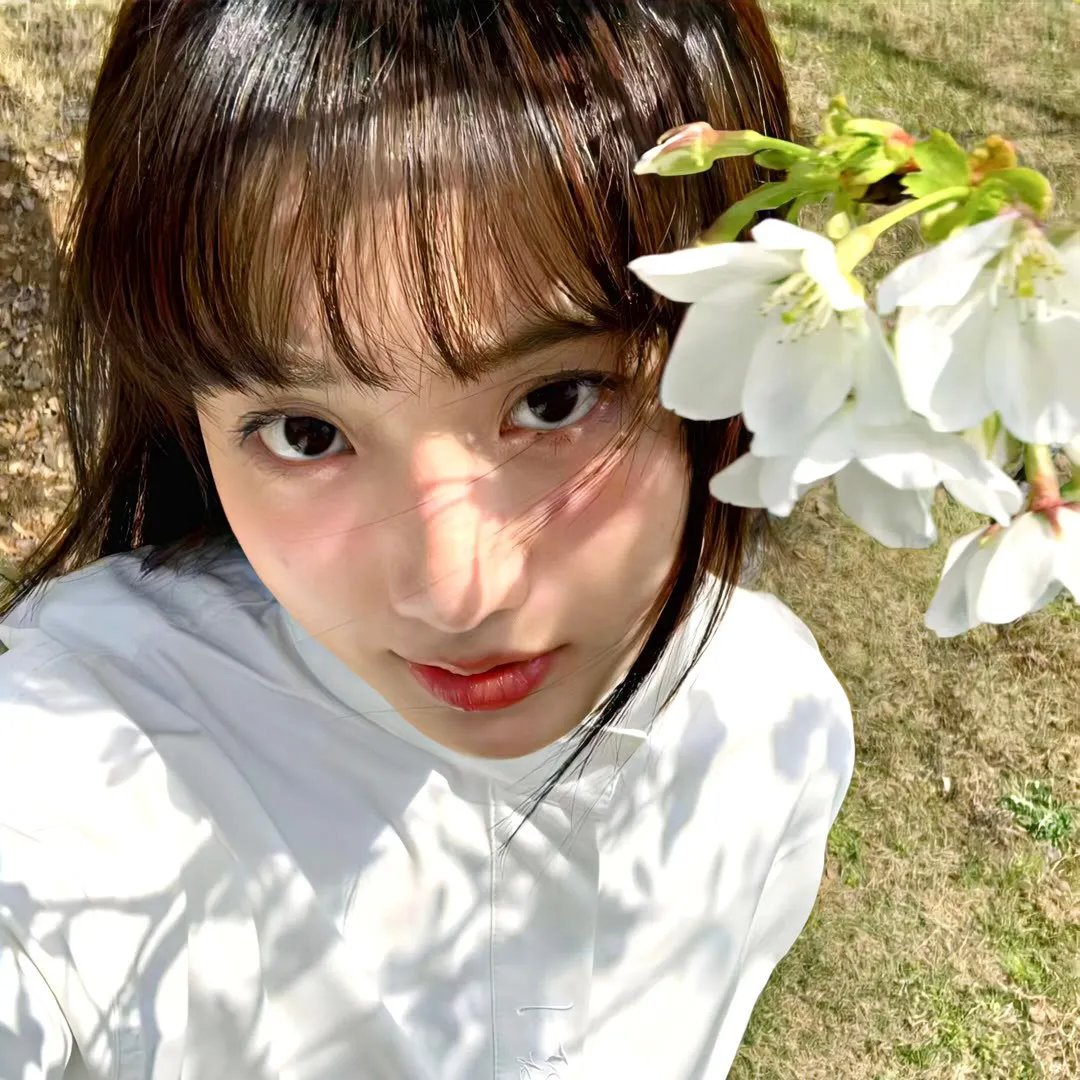 鲨与鲸